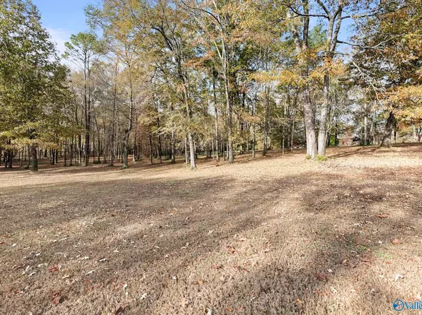 Riverview Cir, Scottsboro, AL 35769
