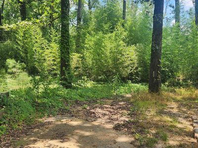 618 Kirkwood Rd, Star City, AR, 71667