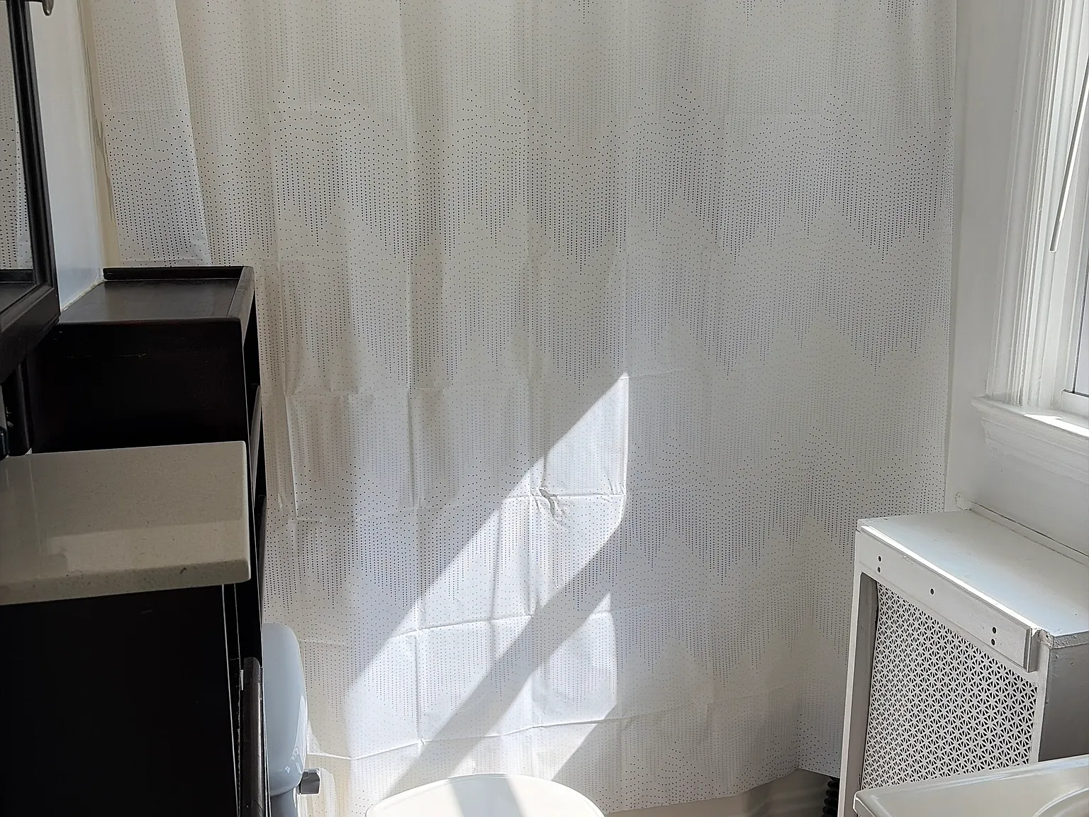 1 bed, 680 sqft, $1,250 — Photo 3