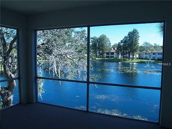 2nd image of 10352 Carrollwood Ln APT 196