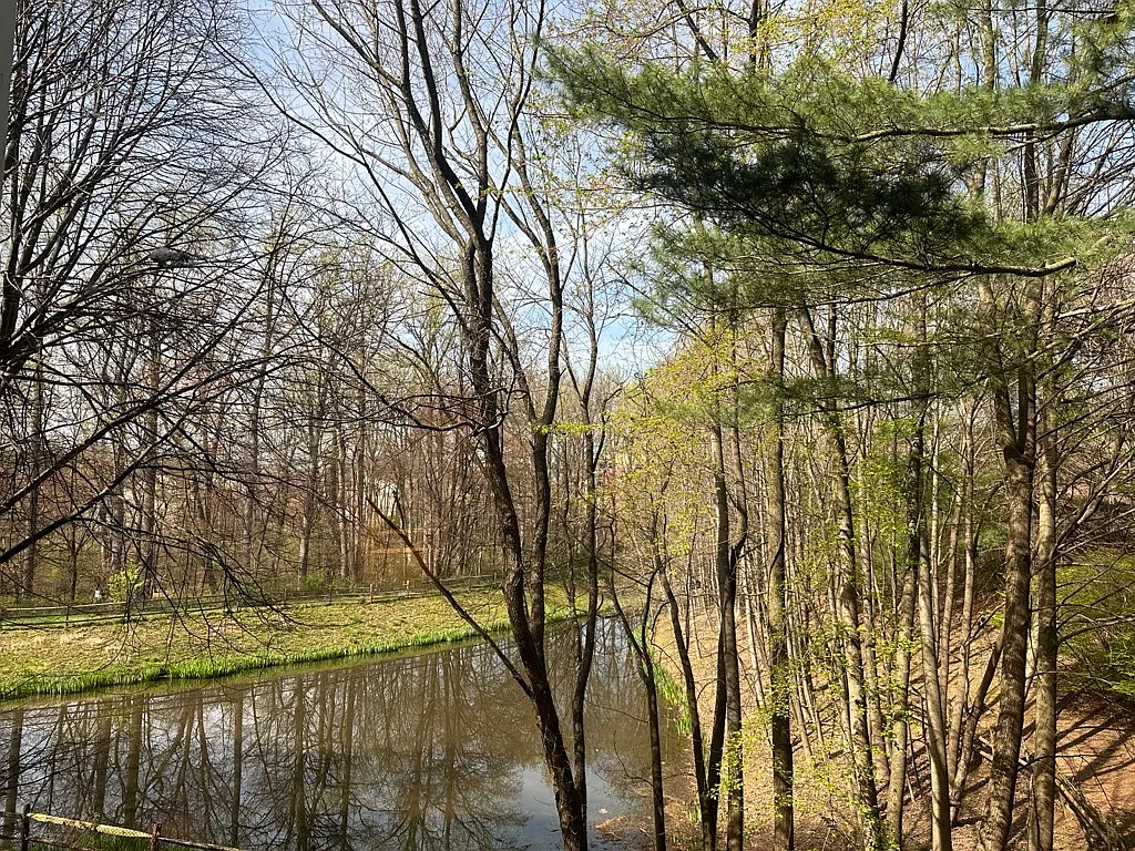 2 bed, 1100 sqft, $2,500 — Photo 3