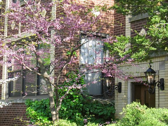 3rd image of 734 Mulford St #Garden