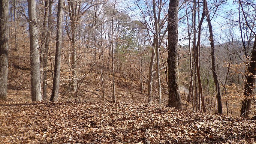 1st image of Lot 63 And 64 Hidden Cove Ln