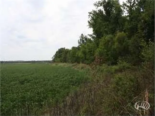 6670 Old Marion Rd, Metropolis, IL 62960
