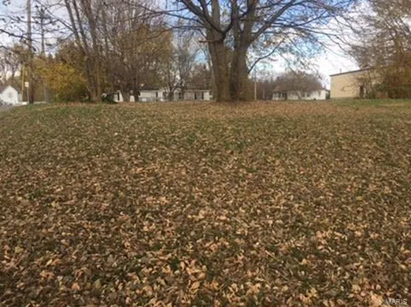 0 Main St, Keyesport, IL 62253