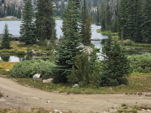 Hump Lake Lot 4, Elk City, ID 83525