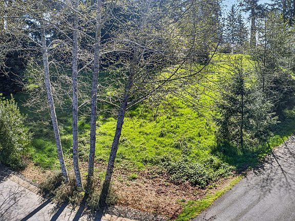 4th image of 34775 Bayloop Rd