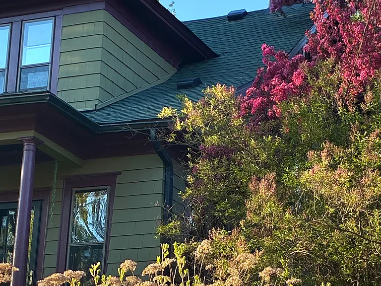 1178 Burns Ave — Photo 5