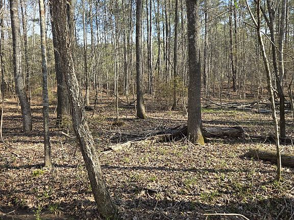 2nd image of 1381 Trestle Rd