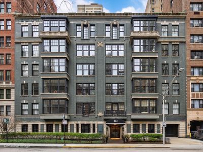 223 E Delaware Pl APT 3W, Chicago, IL, 60611
