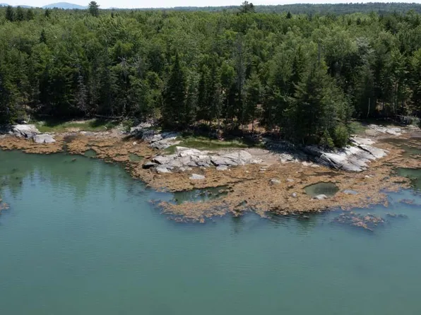 Lot #4 Seal Point Road, Lamoine, ME 04605