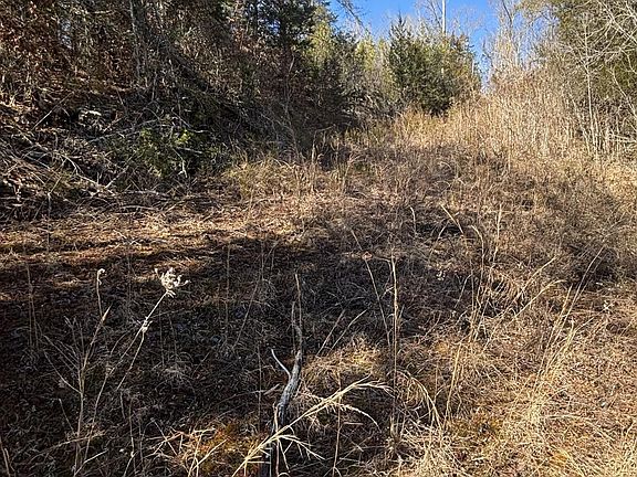 2nd image of 0 Rule Hollow Rd Lot 4