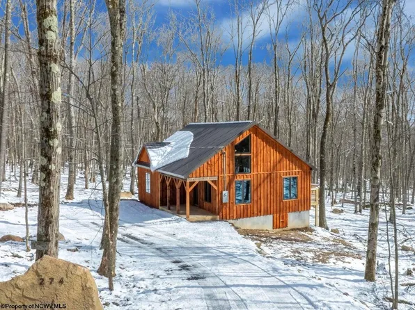 274 Goldenrod Dr, Terra Alta, WV 26764