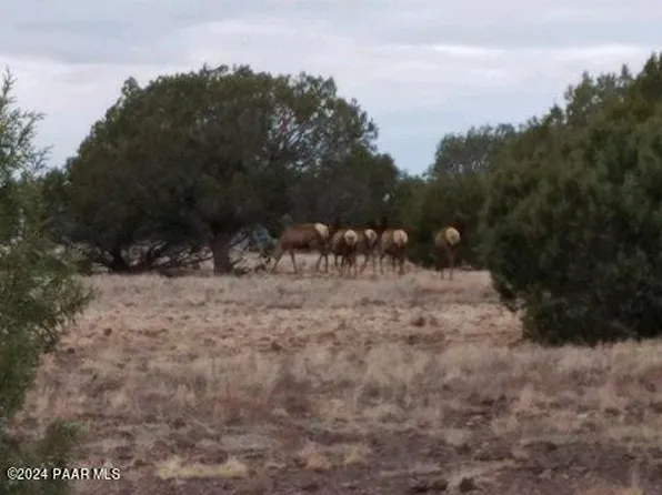 245 Noseeum Rd, Ash Fork, AZ 86320