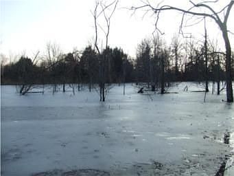 5th image of 14861 NE County Road 5004