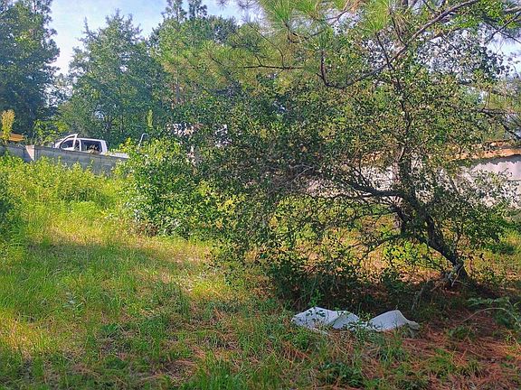2nd image of 322 Wellington Dr