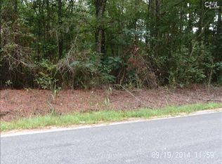 406 Old Bluff Rd, Hopkins, SC 29061