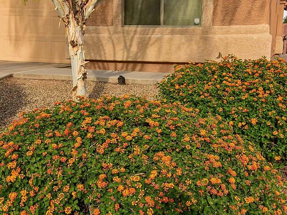 4th image of 7841 S Baja Stone Ave