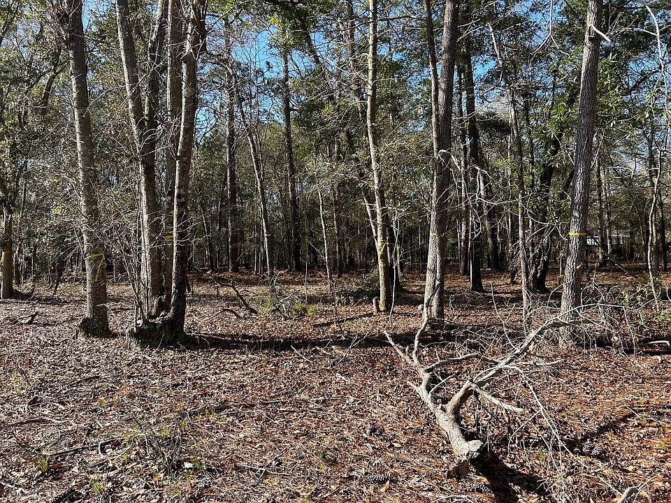2nd image of 0 Chaplins Landing Rd Lot 1