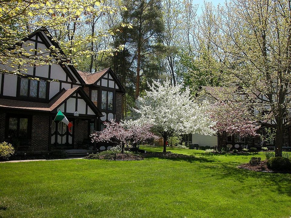 Beautiful Trees