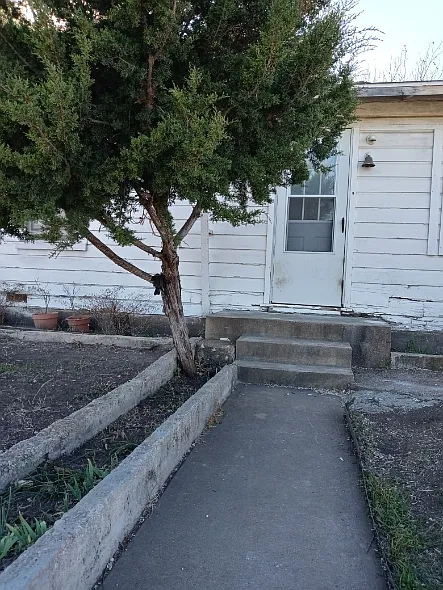 2 bed, 850 sqft, $700 — Photo 2