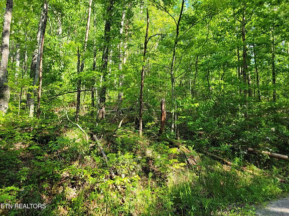 4th image of 27 Black Oak Dr Lot 27