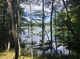 6990 21 Mile Rd, Evart, MI 49631