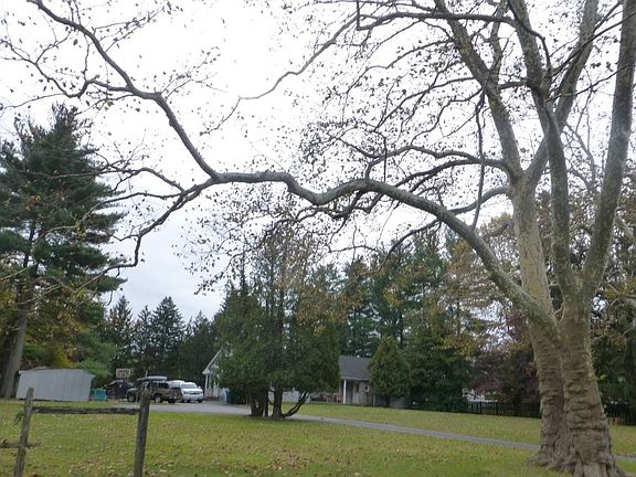 3rd image of 936 Tennis Ave
