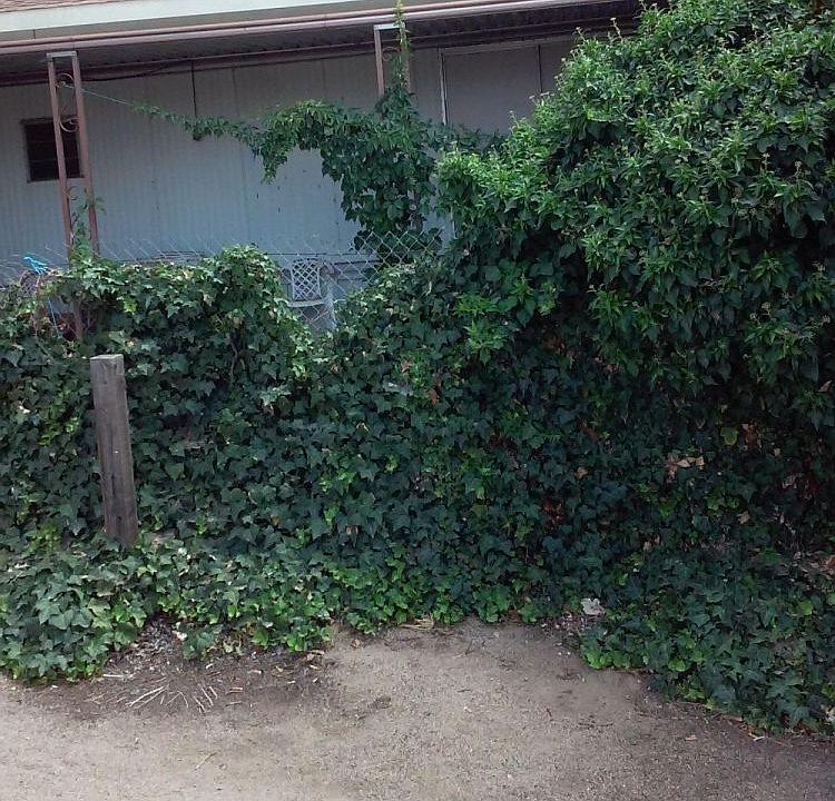 2nd image of 2710 Erskine Creek Rd