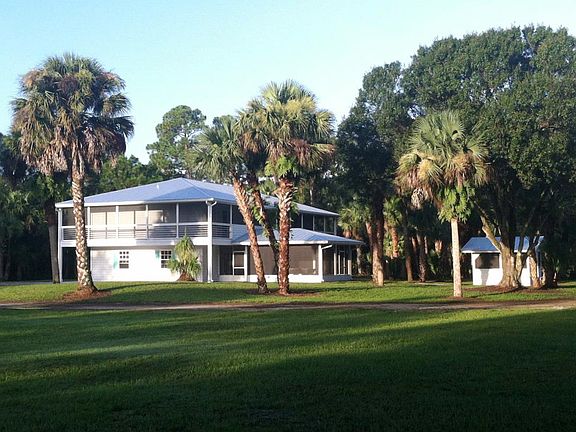 Native Palms