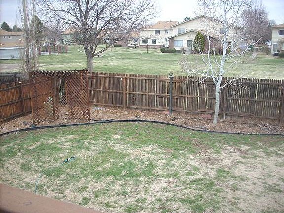 New grass and Landscaping