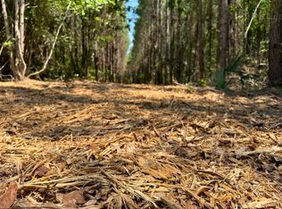 (Undisclosed Address), Livingston, TX 77351