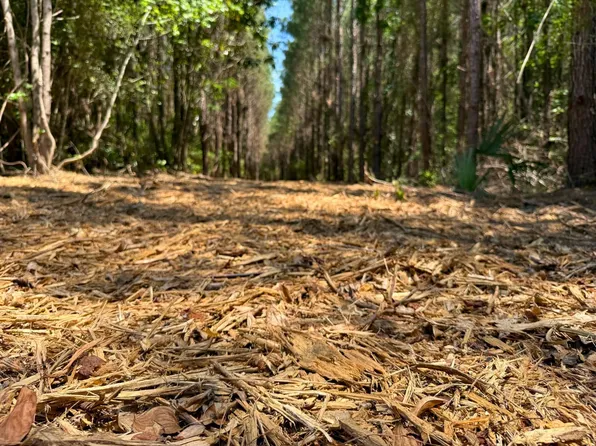 Sunflower Rd, Livingston, TX 77351