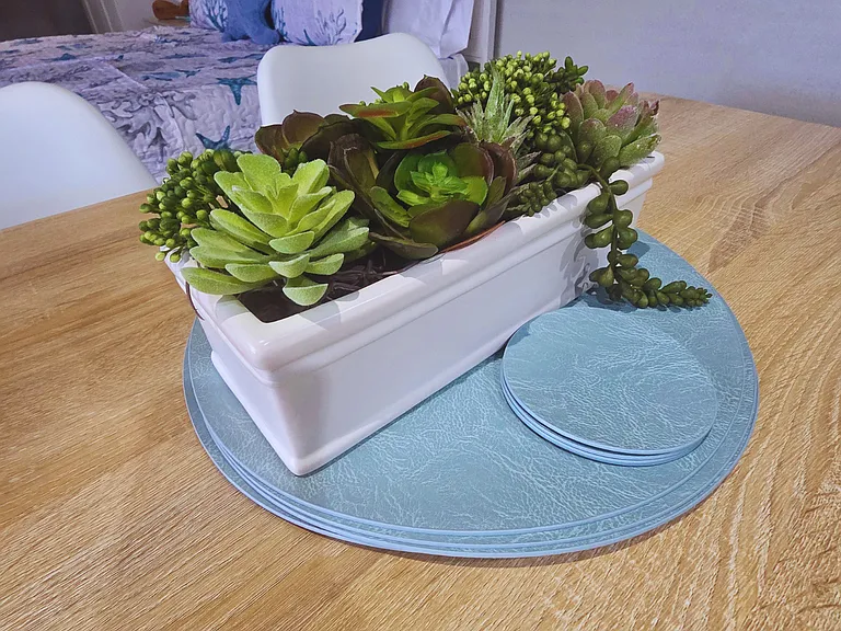 Elegant succulent centerpiece adds a fresh and stylish touch to the space.