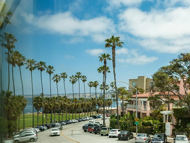 View from living room window.