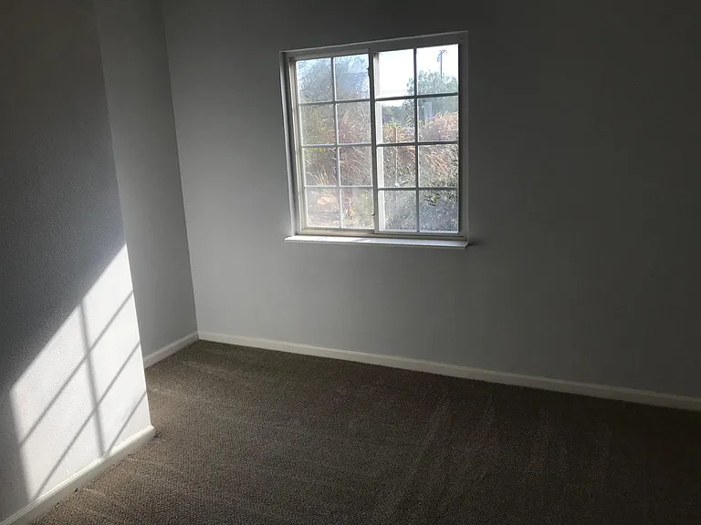 2021 Arnold Ave — Photo 15
