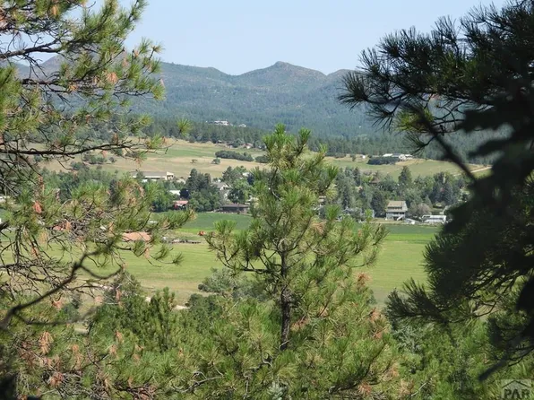 Tbd Pine Dr, Beulah, CO 81023
