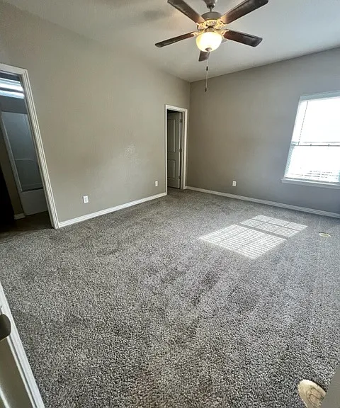 North Street — Photo 12