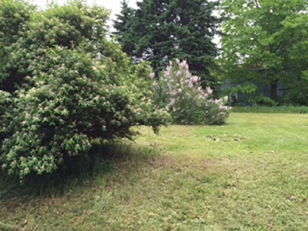 3 bed, 1.5 bath, 1400 sqft, $600 — Photo 4