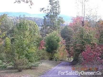 Autumn view down drive