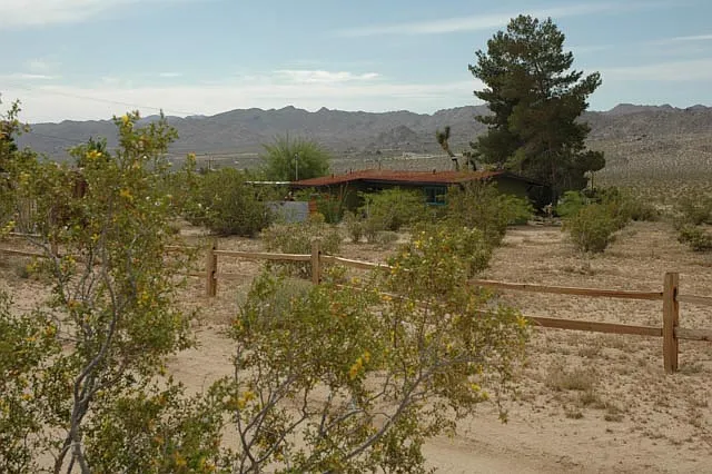Desert Way — Photo 18