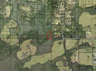 0 Alligator Road, Clermont, FL 33868