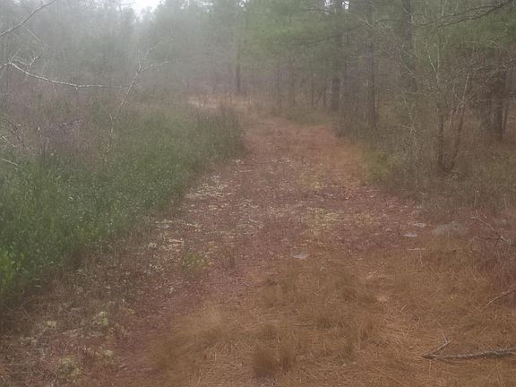3rd image of Tract A Off Haw Bluff Road LOT Tract A