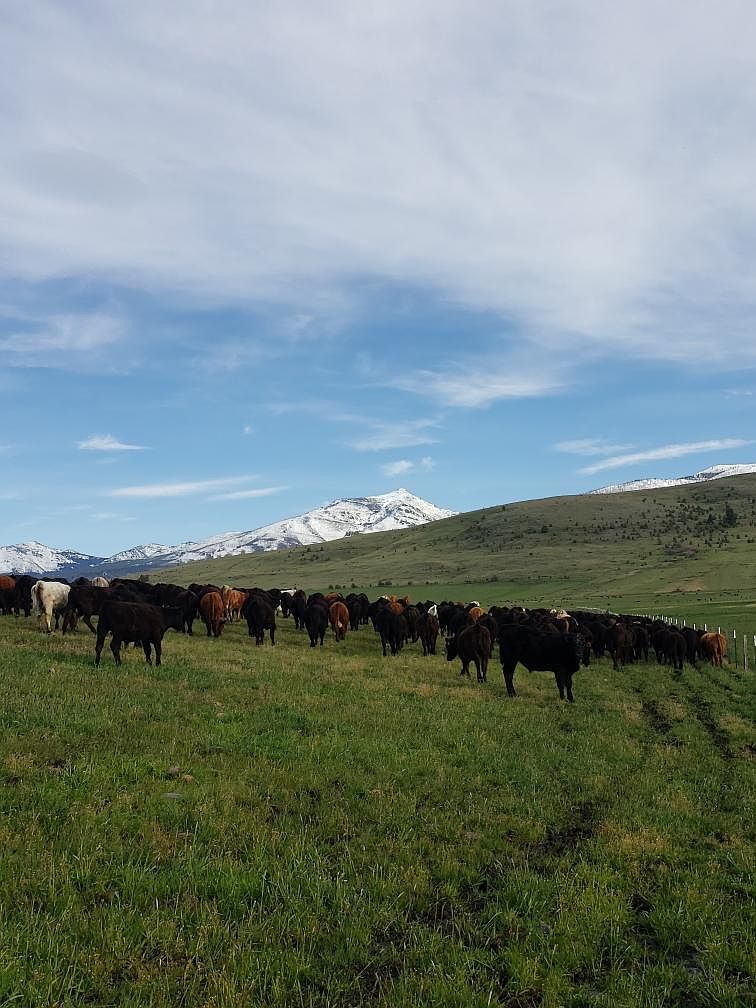 27542 Indian Creek Rd, John Day, OR 97845 Zillow