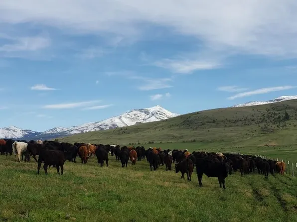 27542 Indian Creek Rd, John Day, OR 97845