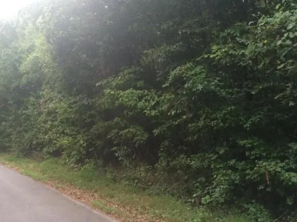3347 Mountain View Ln, White Pine, TN 37890