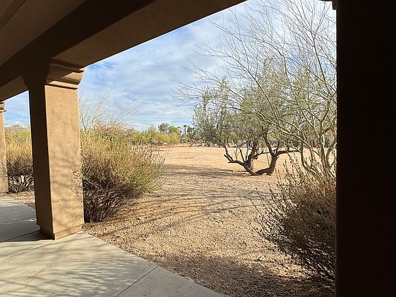 Back yard