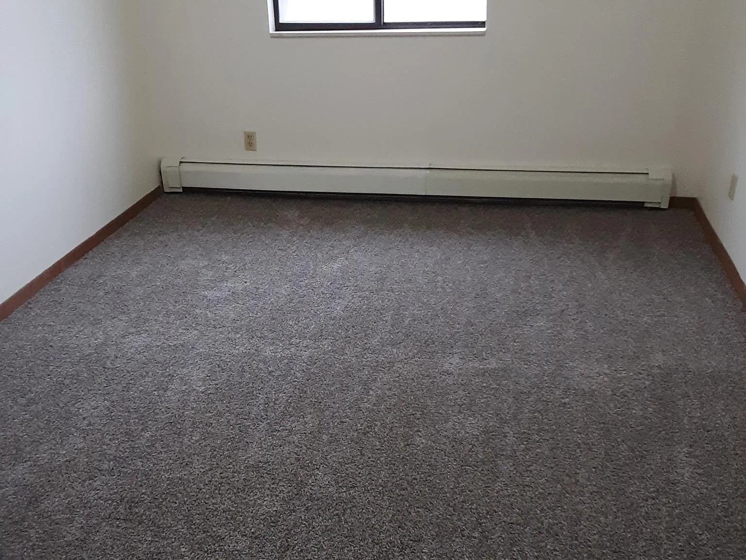2 bed, 800 sqft, $1,100 — Photo 1