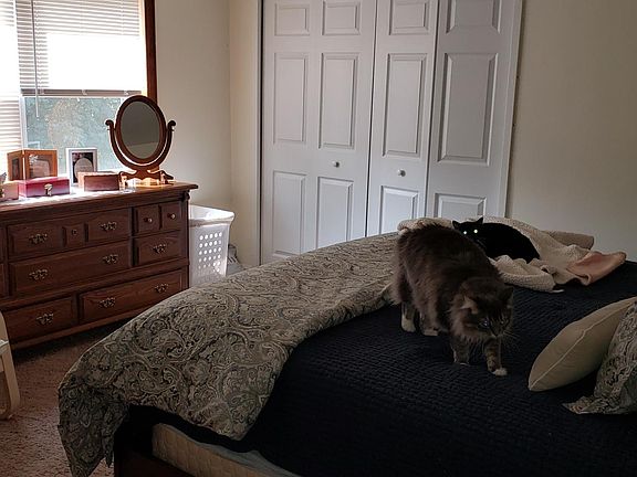 spacious bedroom