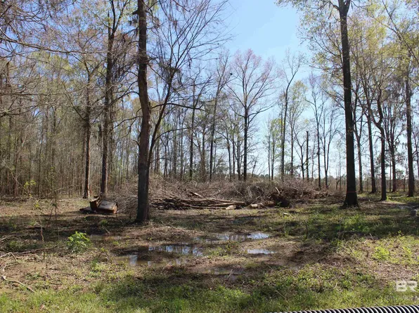 Heron Point Dr, Lowndesboro, AL 36752